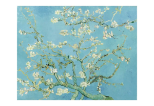 Reproduction - Amandier en fleurs - Vincent Van Gogh - 1888