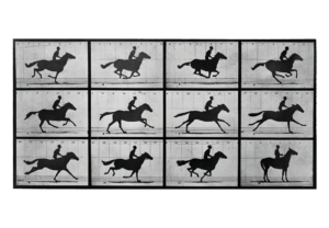 Reproduction - Le Cheval en mouvement - Eadweard Muybridge - 1878