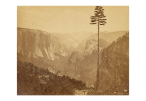Reproduction - Yosemite Valley - Carleton Watkins - 1861