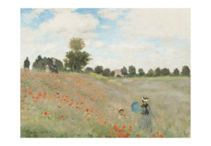 Les coquelicots